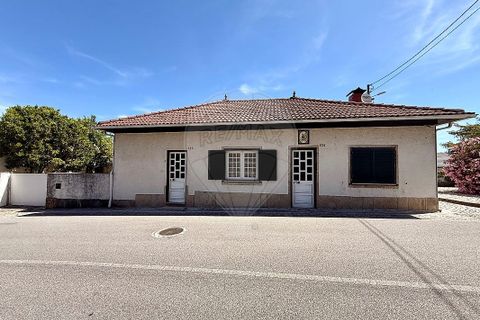 Villa i Mangualde, Viseu, Mangualde - € 240.000 | Ref: 126021123-52 - foto 3