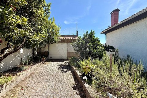 Villa i Mangualde, Viseu, Mangualde - € 240.000 | Ref: 126021123-52 - foto 4
