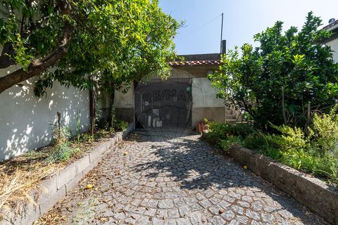 Willa: Mangualde, Viseu, Mangualde – 240 000 € | Ref: 126021123-52 – zdjęcie 17