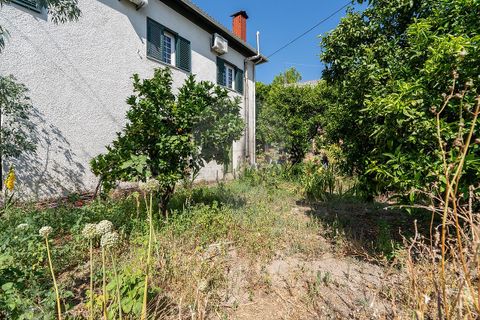 Willa: Mangualde, Viseu, Mangualde – 240 000 € | Ref: 126021123-52 – zdjęcie 20