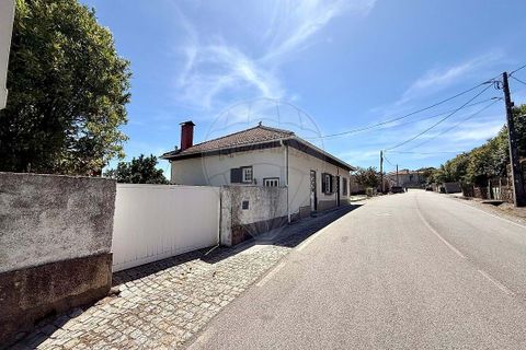 Villa i Mangualde, Viseu, Mangualde - € 300.000 | Ref: 126021123-53 - foto 2