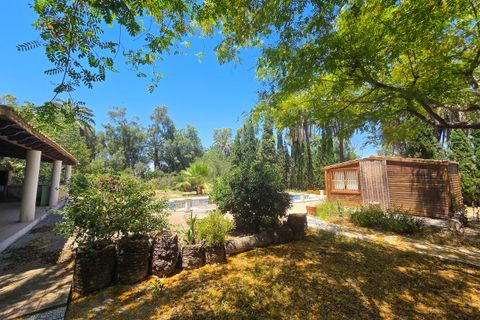 Villa en Elche, Alicante, Elche - € 1.150.000 | Ref: AKS-91671 - photo 28
