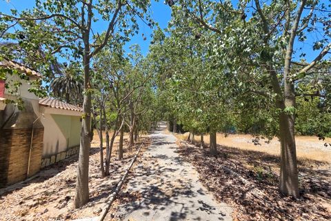 Villa en Elche, Alicante, Elche - € 1.150.000 | Ref: AKS-91671 - photo 30