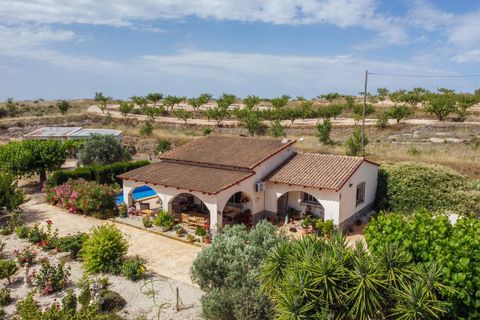 Villa i Pinoso, Alicante, Pinoso - € 275.000 | Ref: CF3352 - foto 5