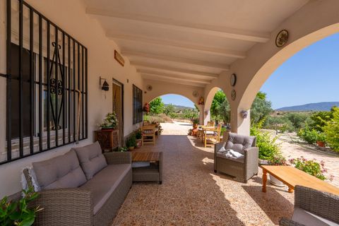Villa i Pinoso, Alicante, Pinoso - € 275.000 | Ref: CF3352 - foto 10