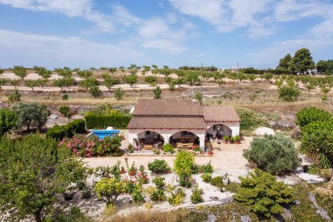 Villa i Pinoso, Alicante, Pinoso - € 275.000 | Ref: CF3352 - foto 35