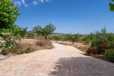 Villa i Pinoso, Alicante, Pinoso - € 275.000 | Ref: CF3352 - foto 38