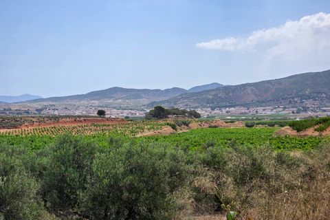 Villa i Pinoso, Alicante, Pinoso - € 275.000 | Ref: CF3352 - foto 40