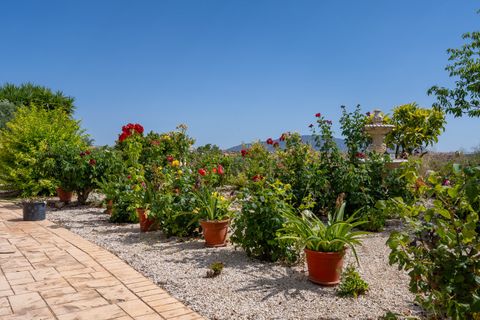 Villa i Pinoso, Alicante, Pinoso - € 275.000 | Ref: CF3352 - foto 41