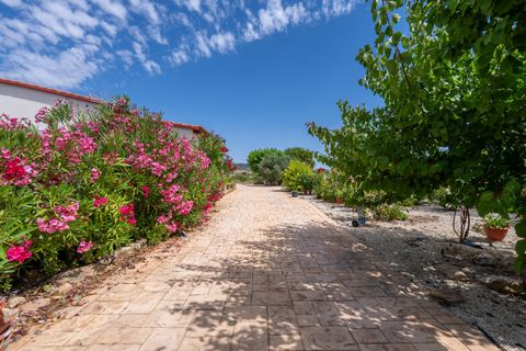 Villa i Pinoso, Alicante, Pinoso - € 275.000 | Ref: CF3352 - foto 42