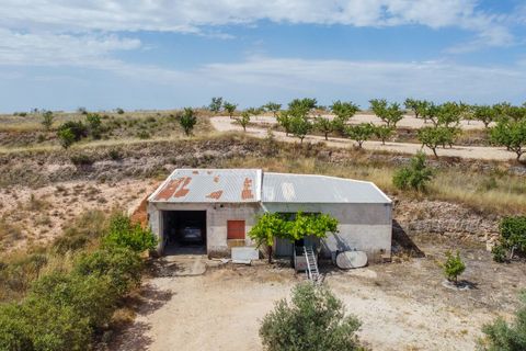 Villa i Pinoso, Alicante, Pinoso - € 275.000 | Ref: CF3352 - foto 43