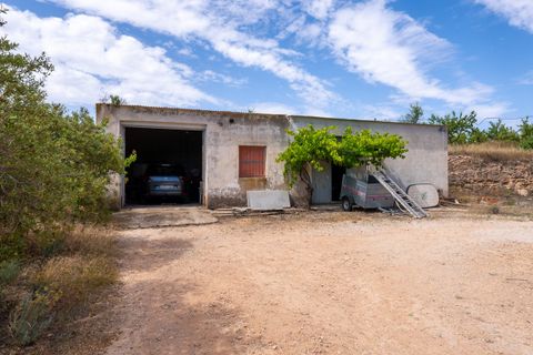 Villa i Pinoso, Alicante, Pinoso - € 275.000 | Ref: CF3352 - foto 44