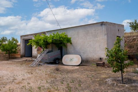 Villa i Pinoso, Alicante, Pinoso - € 275.000 | Ref: CF3352 - foto 45