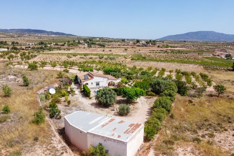 Villa i Pinoso, Alicante, Pinoso - € 275.000 | Ref: CF3352 - foto 46