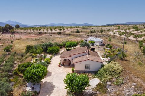 Villa i Pinoso, Alicante, Pinoso - € 275.000 | Ref: CF3352 - foto 49