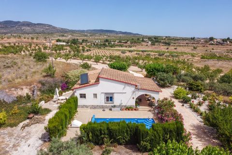 Villa i Pinoso, Alicante, Pinoso - € 275.000 | Ref: CF3352 - foto 50