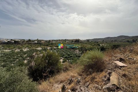 Landejendom i Cantoria, Almeria, Cantoria - € 95.000 | Ref: 2956 - foto 41
