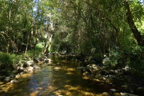 Gård i Tabuaco, Viseu, Tabuaco - € 297 000 | Ref: DHL236 - foto 18