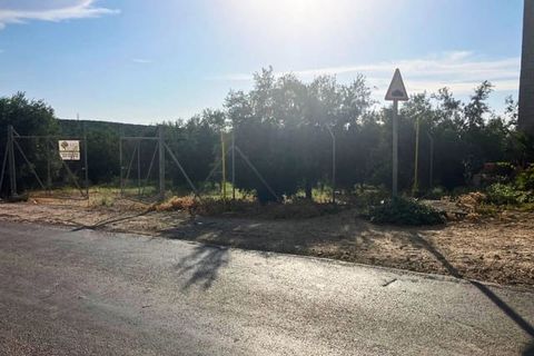 Finca a Lucena, Cordoba - foto 4