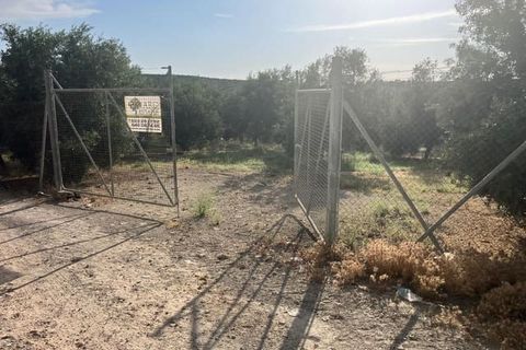 Finca a Lucena, Cordoba - foto 5