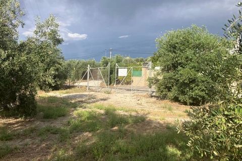 Finca i Lucena, Cordoba, Lucena - € 600 000 | Ref: AGL-1259 - foto 6