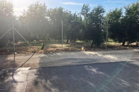 Finca i Lucena, Cordoba, Lucena - € 600 000 | Ref: AGL-1259 - foto 8