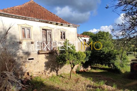 Villa a Pombal, Leiria, Pombal - € 105.000 | Ref: MOR_2994_AMOT - foto 2