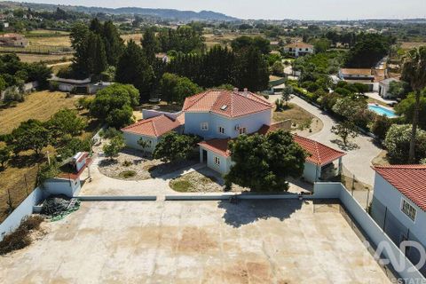 Farm i Palmela, Setubal, Palmela - € 1.588.000 | Ref: 951264 - foto 37