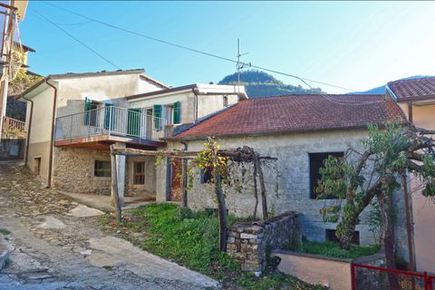 Villa a Bagnone, Massa and Carrara, Bagnone - € 175.000 | Ref: 624B - foto 39