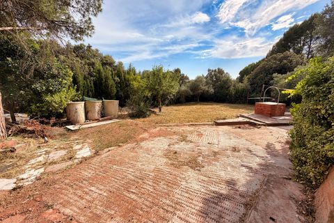 Terra a Barcelona, Barcelona, Barcelona - € 55.000 | Ref: 926287 - foto 4