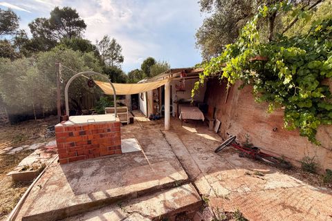 Terra a Barcelona, Barcelona, Barcelona - € 55.000 | Ref: 926287 - foto 8