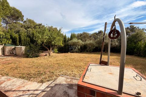 Terra a Barcelona, Barcelona, Barcelona - € 55.000 | Ref: 926287 - foto 13