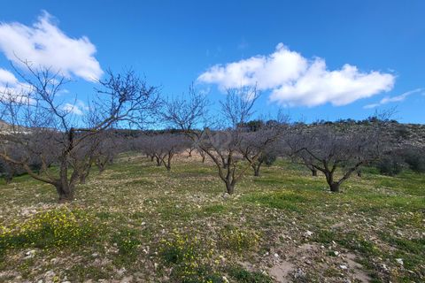 Byhus i Malaga city, Malaga, Malaga city - € 275.000 | Ref: 813831 - foto 33