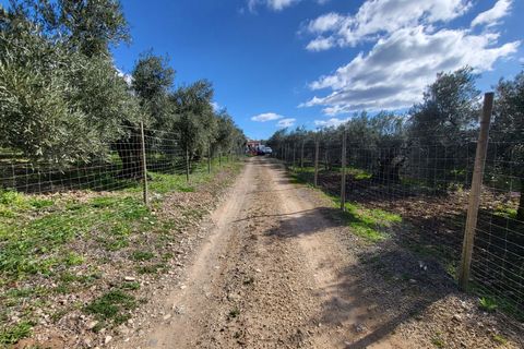 Byhus i Malaga city, Malaga, Malaga city - € 275.000 | Ref: 813831 - foto 34