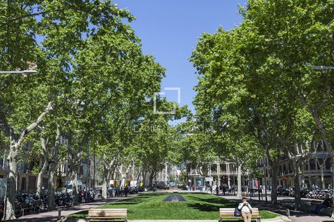 Leilighet i Barcelona, Barcelona, Barcelona - € 1 250 000 | Ref: BCN63996 - foto 45