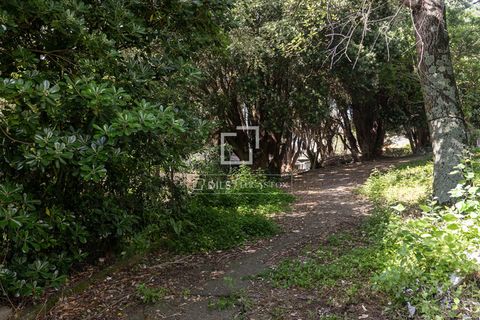 Villa i Mougas, Pontevedra, Mougas - € 700.000 | Ref: VIG64082 - foto 20