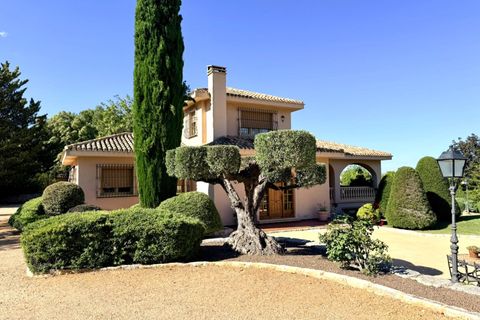 Villa en Cocentaina, Alicante, Cocentaina - € 695.000 | Ref: 20237/12462 - photo 6