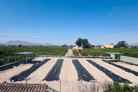 Finca i Albatera, Alicante, Albatera - € 320.000 | Ref: 200-4853 - foto 19