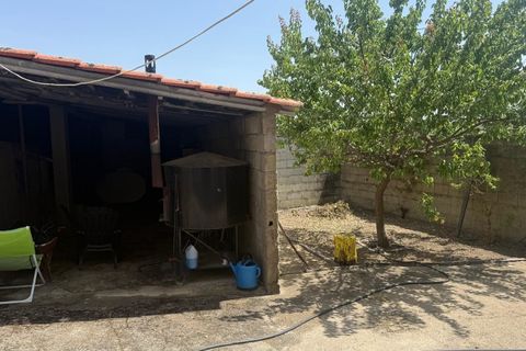 Villa i Vila Flor, Braganca, Vila Flor - € 130.000 | Ref: CM15 - foto 12