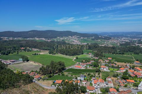 Terra em Barcelos, Braga, Barcelos - € 495.000 | Ref: C0257-01480 - foto 5