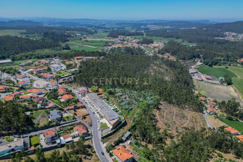 Terra em Barcelos, Braga, Barcelos - € 495.000 | Ref: C0257-01480 - foto 6
