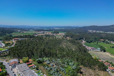 Terra em Barcelos, Braga, Barcelos - € 495.000 | Ref: C0257-01480 - foto 13