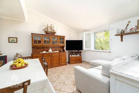 Villa in Calasetta, Sud Sardegna, Calasetta - € 250.000 | Ref: 480 - foto 4