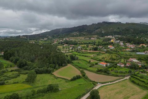 Villa i Ponte de Lima, Viana do Castelo, Ponte de Lima - € 95.000 | Ref: C0256-03518 - foto 15