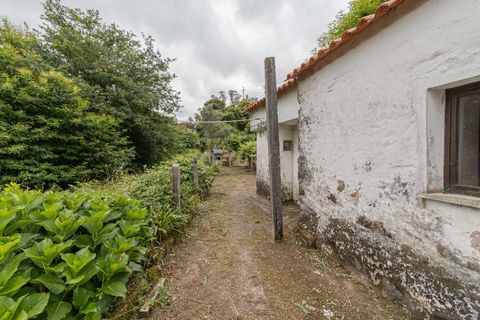 Villa i Ponte de Lima, Viana do Castelo, Ponte de Lima - € 95.000 | Ref: C0256-03518 - foto 23