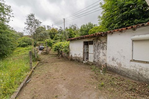 Villa i Ponte de Lima, Viana do Castelo, Ponte de Lima - € 95.000 | Ref: C0256-03518 - foto 24
