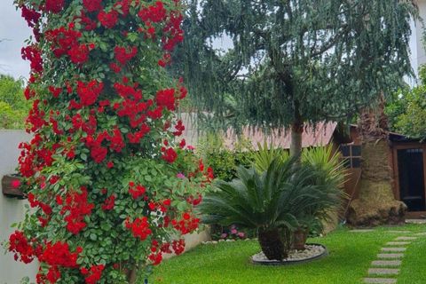 Villa i Fafe, Braga, Fafe - € 410.000 | Ref: C0256-03336 - foto 18