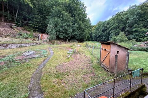 Villa i Philippsbourg, Moselle, Philippsbourg - € 160.000 | Ref: fr039089 - foto 9