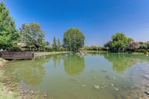 Farm hus i Abrantes, Santarem, Abrantes - € 2.500.000 | Ref: C0222-06548 - foto 36