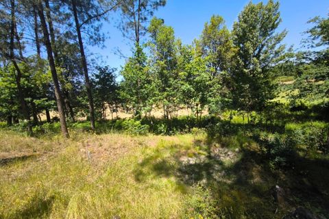 Helårsgrund i Barcelos, Braga, Barcelos - € 37.500 | Ref: 254260800 - foto 3